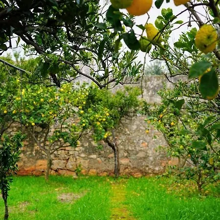 Alloggio per agriturismo Masseria Pezze Galere Piscina Privata Fasano