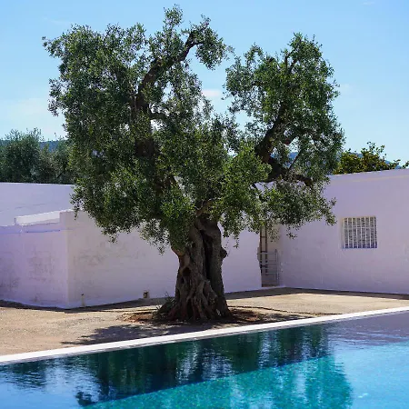 Masseria Pezze Galere Piscina Privata Alloggio per agriturismo *
