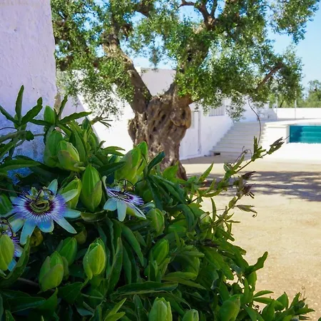 Alloggio per agriturismo Masseria Pezze Galere Piscina Privata *